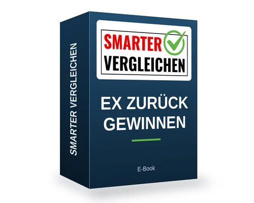 Symbolbild Ex zurück gewinnen